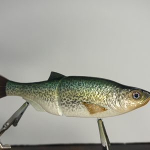 6 1/2" Shiner Glide Bait